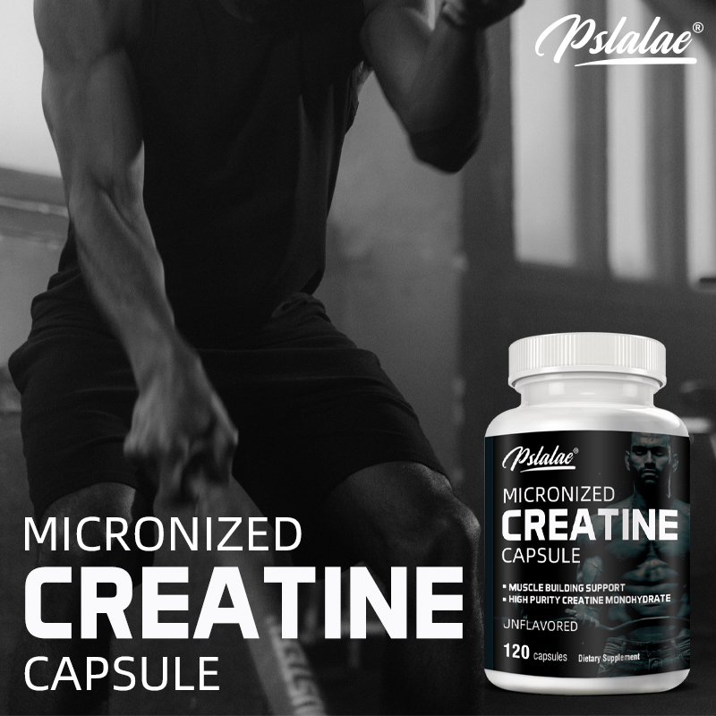 Creatine Monohydrate Energy Pe - Nutrition Workout ulasan dan harga