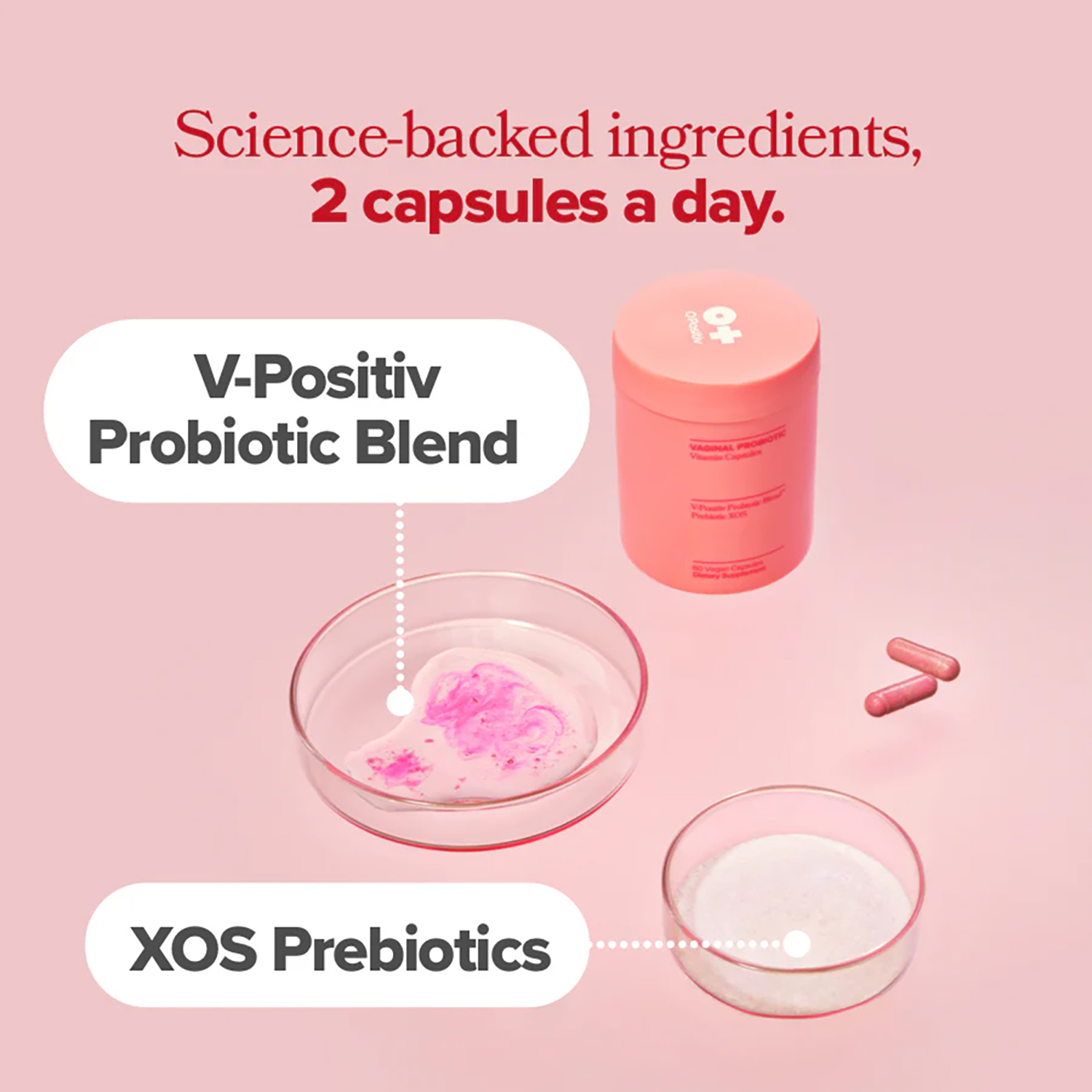 Vagianl Probiotics for Women p - Probiotics Women Health ulasan dan harga