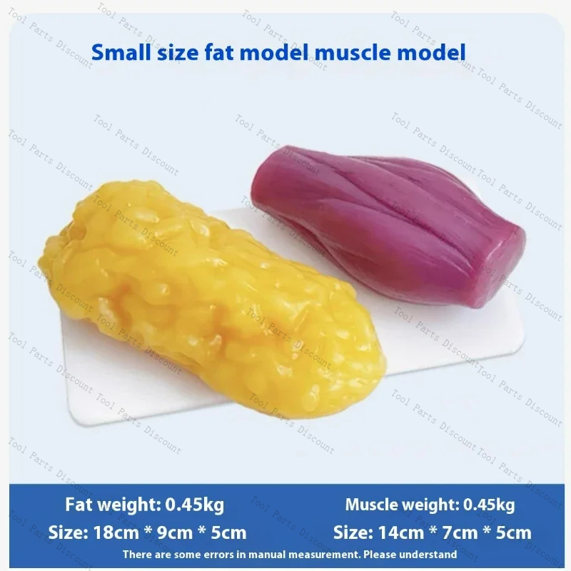 Human Muscle Replicas Weight L - Nutrition Fitness Center ulasan dan harga