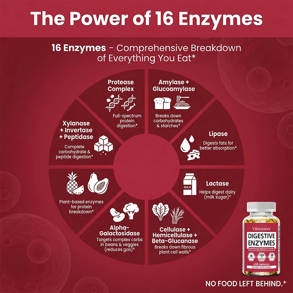 Digestive Enzyme Supplement Ca - Probiotics Women Health ulasan dan harga