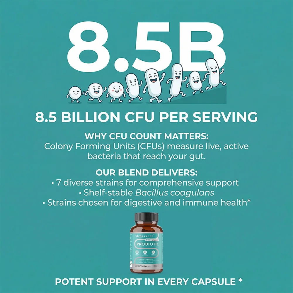 Probiotics 8.5 Billion CFUs -  - Probiotics Women Health ulasan dan harga