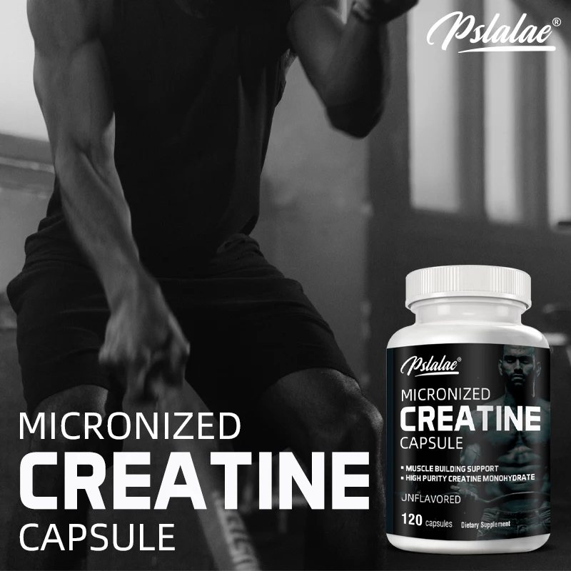 Creatine Monohydrate Energy Pe - Nutrition Workout ulasan dan harga