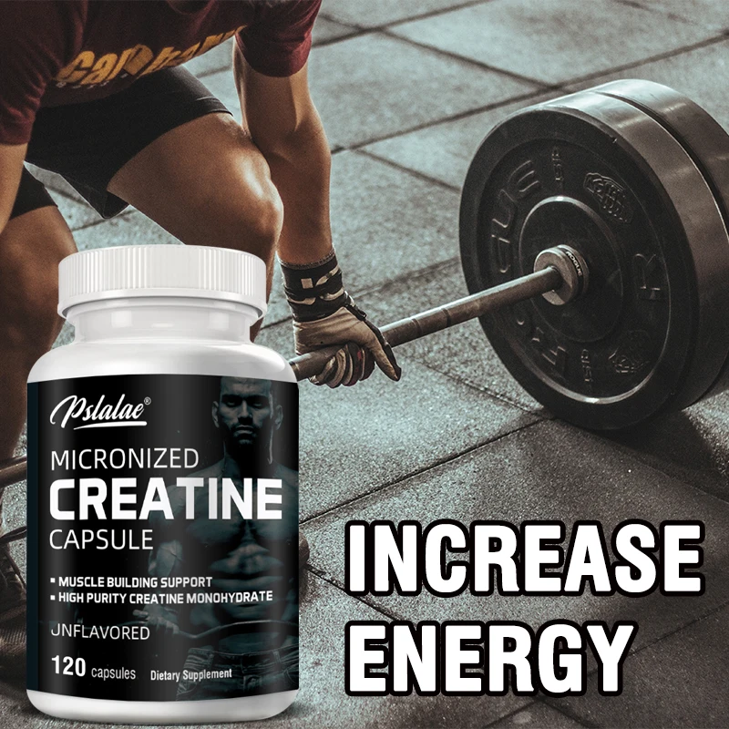 Creatine Monohydrate Energy Pe - Nutrition Workout ulasan dan harga